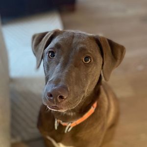 Meet your Posher, Ruthie